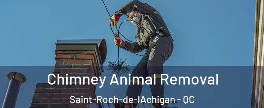 Chimney Animal Removal Saint-Roch-de-lAchigan - QC