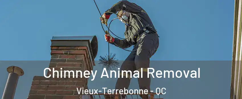 Chimney Animal Removal Vieux-Terrebonne - QC