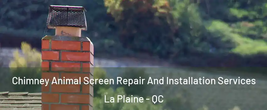 Chimney Animal Screen Repair And Installation Services La Plaine - QC