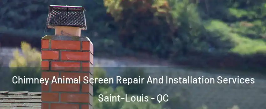  Chimney Animal Screen Repair And Installation Services Saint-Louis - QC