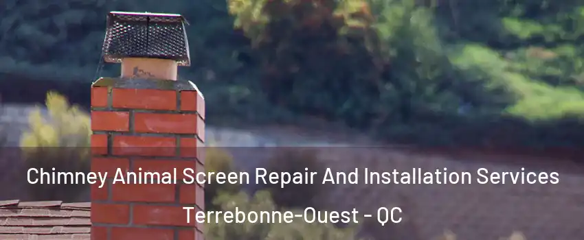  Chimney Animal Screen Repair And Installation Services Terrebonne-Ouest - QC