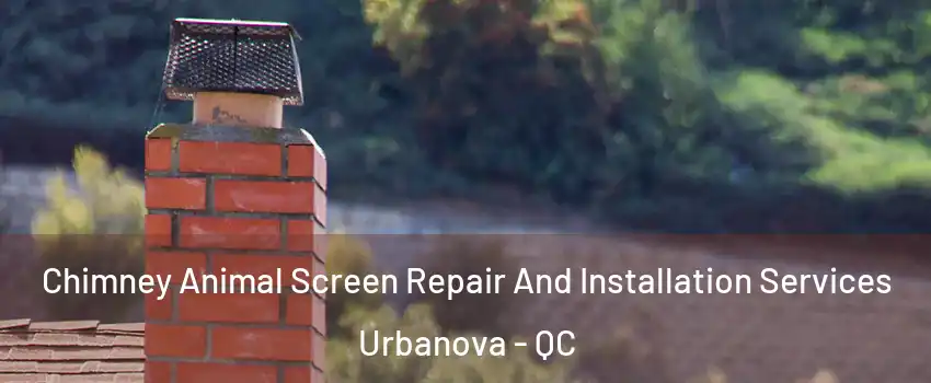  Chimney Animal Screen Repair And Installation Services Urbanova - QC