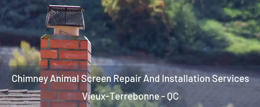  Chimney Animal Screen Repair And Installation Services Vieux-Terrebonne - QC