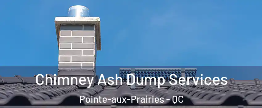  Chimney Ash Dump Services Pointe-aux-Prairies - QC