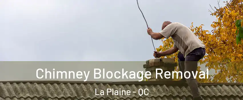  Chimney Blockage Removal La Plaine - QC