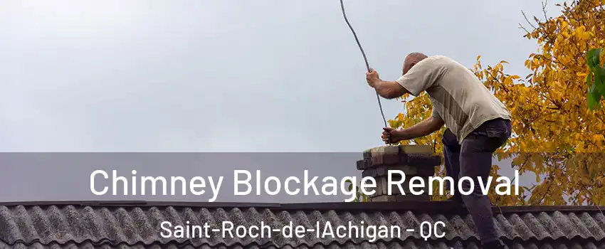  Chimney Blockage Removal Saint-Roch-de-lAchigan - QC