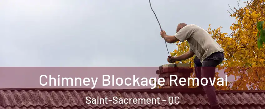  Chimney Blockage Removal Saint-Sacrement - QC