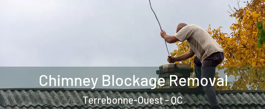  Chimney Blockage Removal Terrebonne-Ouest - QC