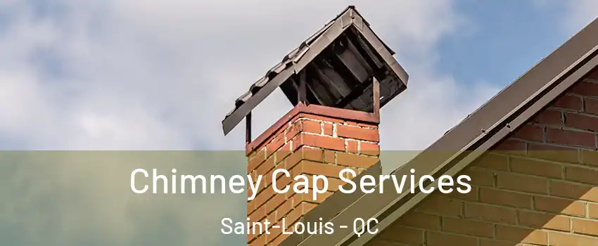  Chimney Cap Services Saint-Louis - QC