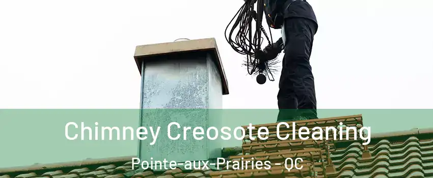  Chimney Creosote Cleaning Pointe-aux-Prairies - QC