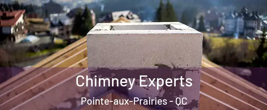 Chimney Experts Pointe-aux-Prairies - QC