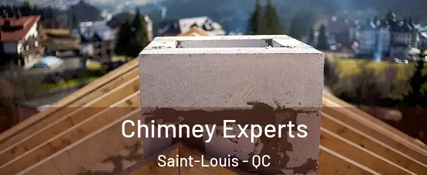Chimney Experts Saint-Louis - QC