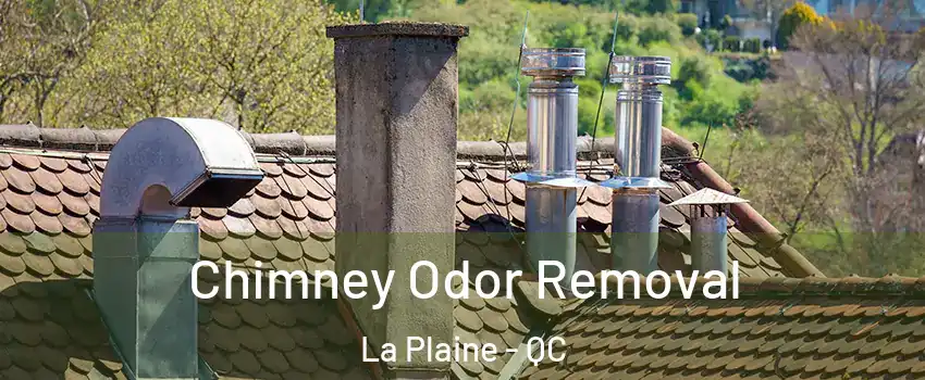  Chimney Odor Removal La Plaine - QC