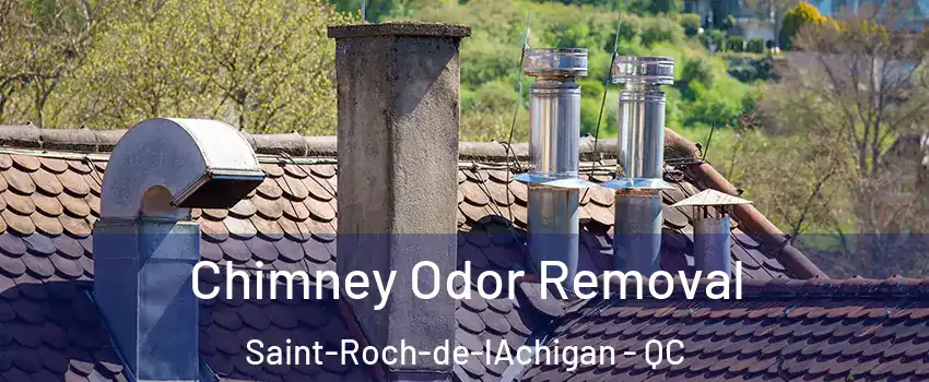  Chimney Odor Removal Saint-Roch-de-lAchigan - QC