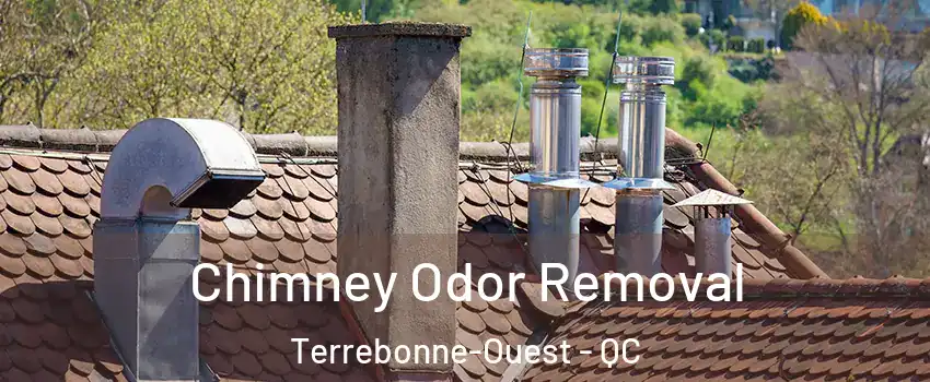  Chimney Odor Removal Terrebonne-Ouest - QC