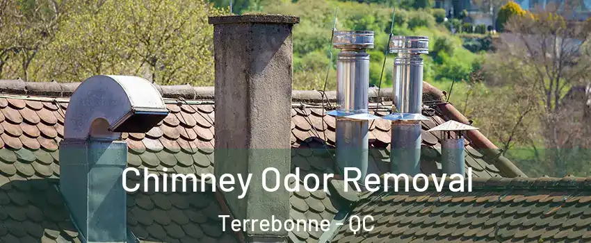  Chimney Odor Removal Terrebonne - QC