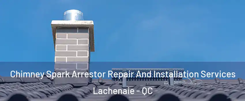  Chimney Spark Arrestor Repair And Installation Services Lachenaie - QC