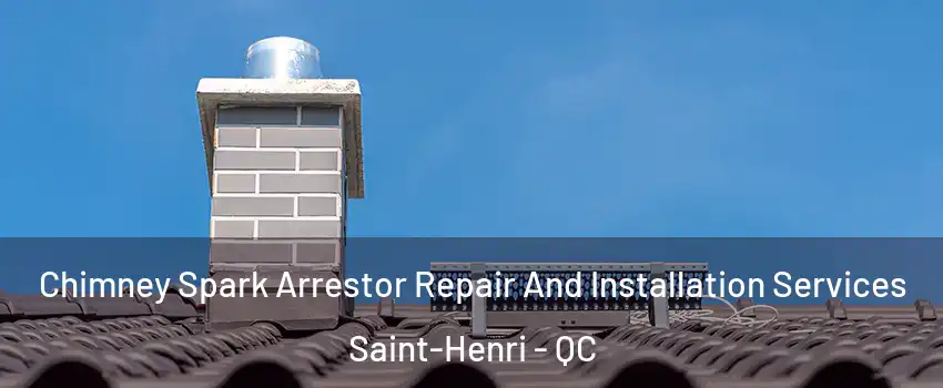  Chimney Spark Arrestor Repair And Installation Services Saint-Henri - QC