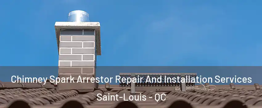  Chimney Spark Arrestor Repair And Installation Services Saint-Louis - QC
