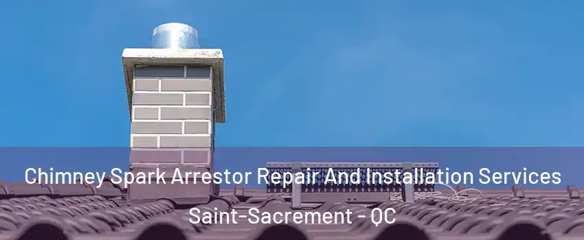  Chimney Spark Arrestor Repair And Installation Services Saint-Sacrement - QC