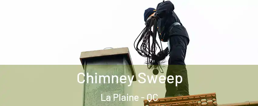  Chimney Sweep La Plaine - QC