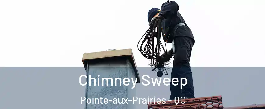  Chimney Sweep Pointe-aux-Prairies - QC