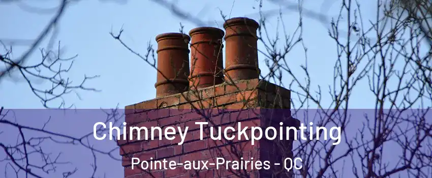  Chimney Tuckpointing Pointe-aux-Prairies - QC