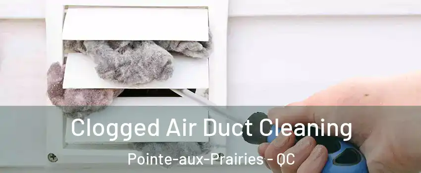  Clogged Air Duct Cleaning Pointe-aux-Prairies - QC