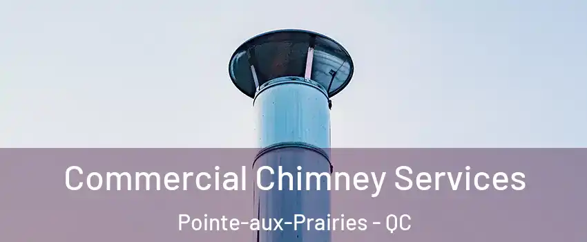  Commercial Chimney Services Pointe-aux-Prairies - QC