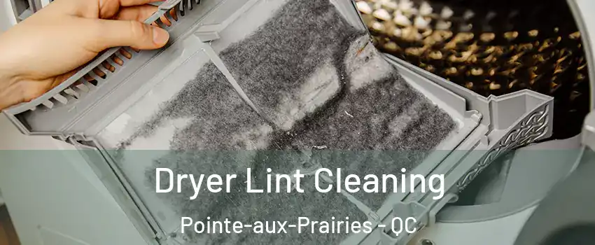  Dryer Lint Cleaning Pointe-aux-Prairies - QC