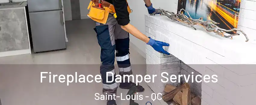  Fireplace Damper Services Saint-Louis - QC