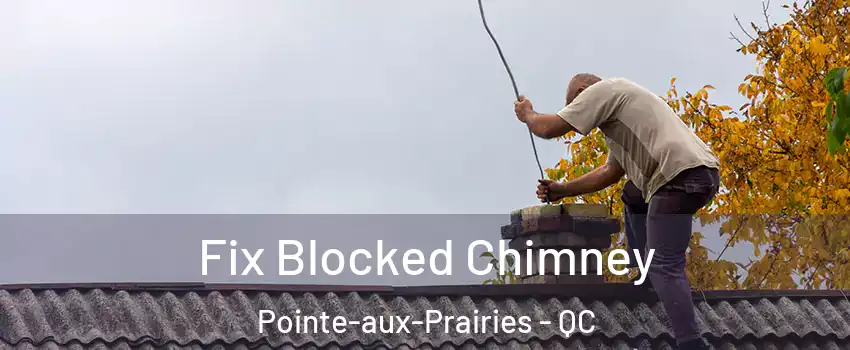  Fix Blocked Chimney Pointe-aux-Prairies - QC