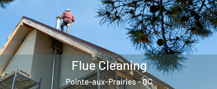  Flue Cleaning Pointe-aux-Prairies - QC