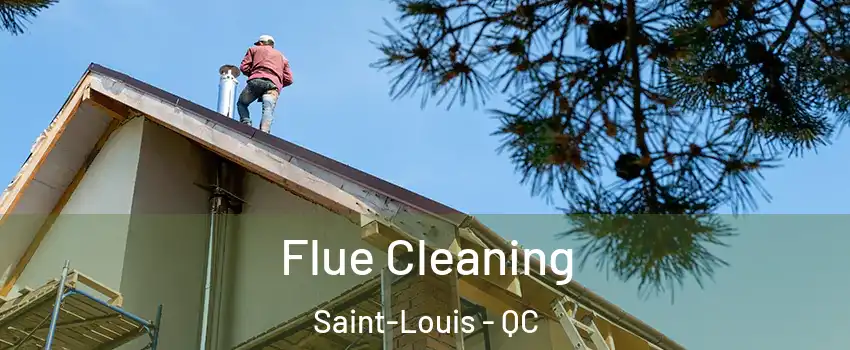  Flue Cleaning Saint-Louis - QC