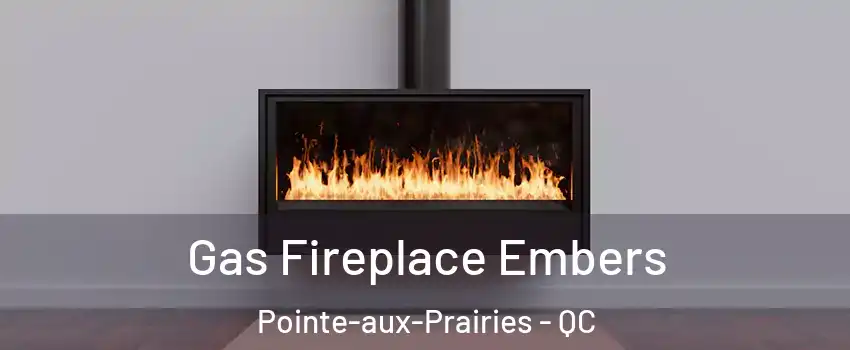  Gas Fireplace Embers Pointe-aux-Prairies - QC