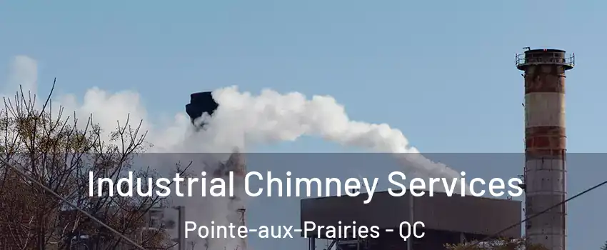 Industrial Chimney Services Pointe-aux-Prairies - QC