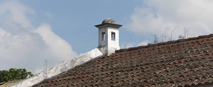 Wind-Resistant Chimney Caps Installation and Repair Services in Terrebonne, Quebec