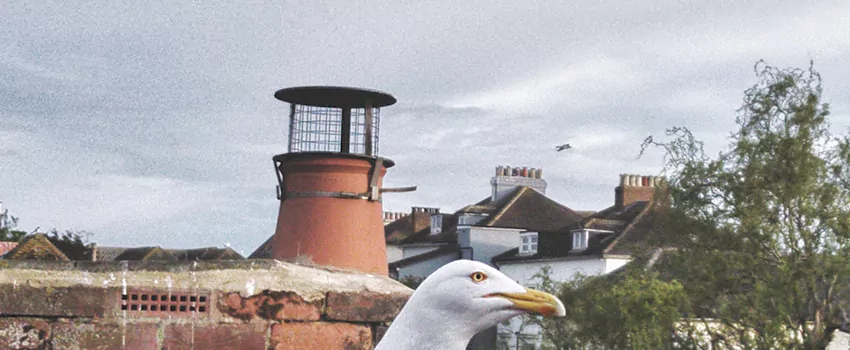 Chimney Cap Bird Guard Repair in Terrebonne, Quebec