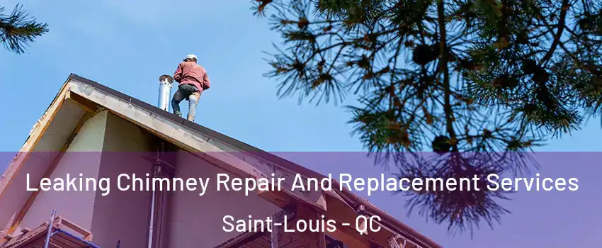  Leaking Chimney Repair And Replacement Services Saint-Louis - QC