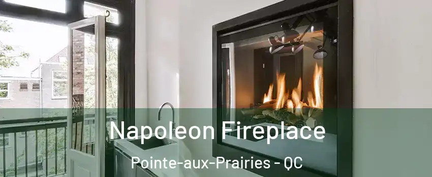  Napoleon Fireplace Pointe-aux-Prairies - QC