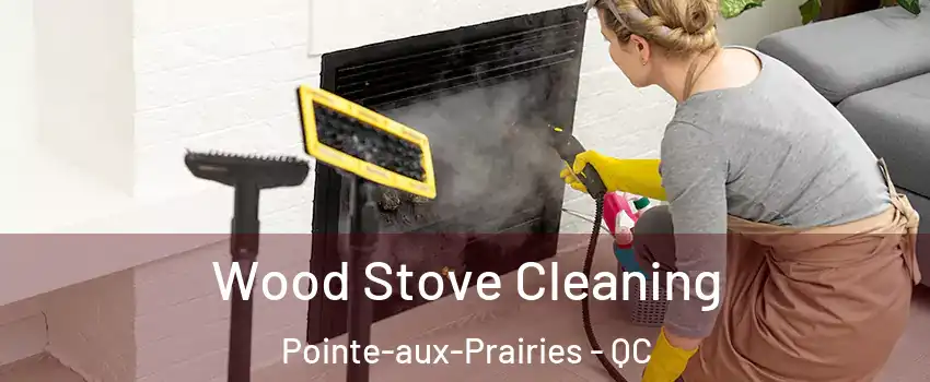  Wood Stove Cleaning Pointe-aux-Prairies - QC